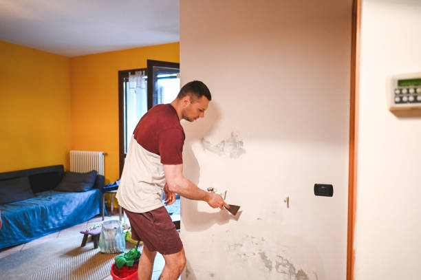 Best Crawl Space Mold Removal  in Azalea Park, FL
